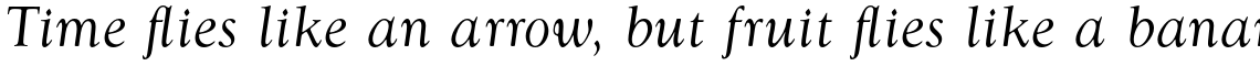 Goudy Regular Italic