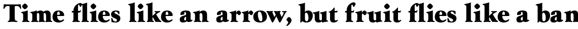 Goudy Series Extra Bold