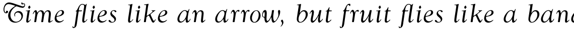 Goudy Swash Regular Italic