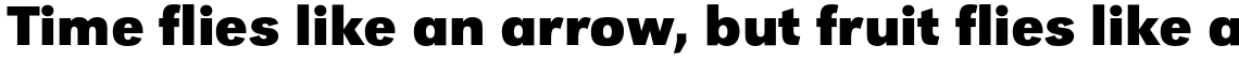 URW Grotesk Bold