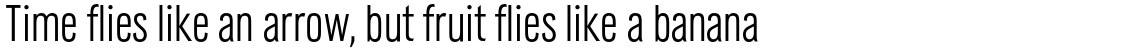URW Grotesk Light Condensed