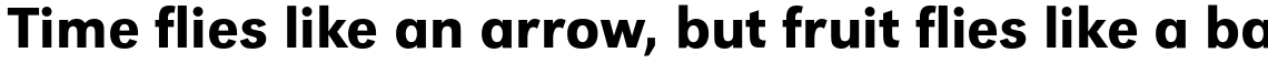 URW Grotesk Medium