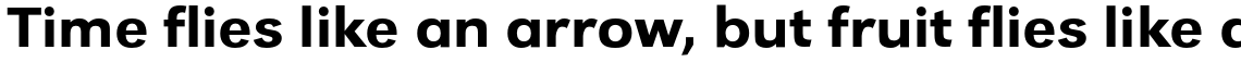 URW Grotesk Medium Extra Wide