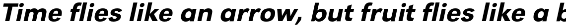 URW Grotesk Medium Wide Oblique
