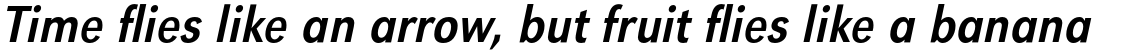 URW Grotesk Regular Extra Narrow Oblique
