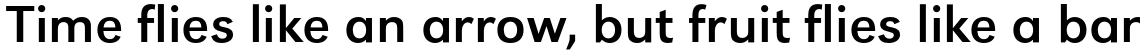 URW Grotesk Regular Wide