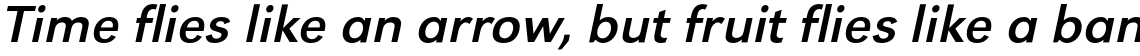 URW Grotesk Regular Wide Oblique