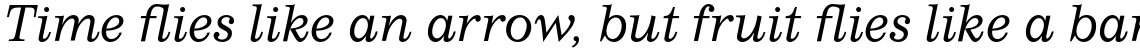 Impressum Light Italic