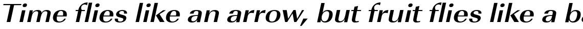 URW Imperial Bold Extra Wide Oblique
