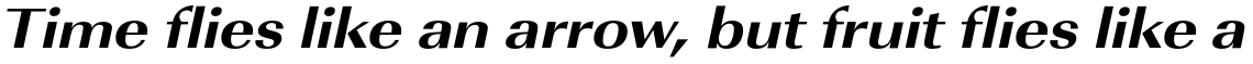 URW Imperial Extra Bold Extra Wide Oblique