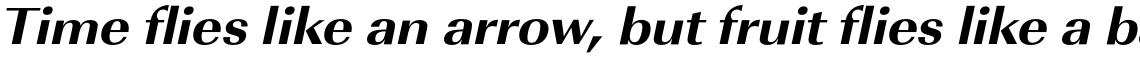 URW Imperial Extra Bold Wide Oblique