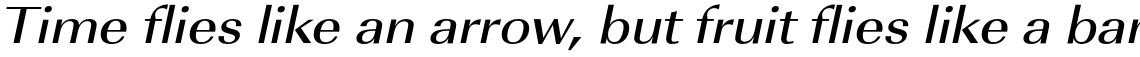 URW Imperial Medium Extra Wide Oblique