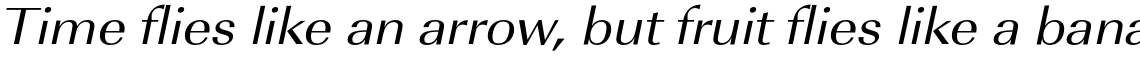 URW Imperial Regular Extra Wide Oblique