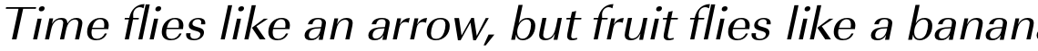 URW Imperial Regular Wide Oblique