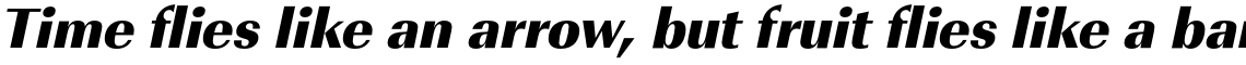 URW Imperial Ultra Bold Narrow Oblique
