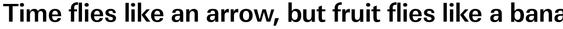 URW Linear Bold