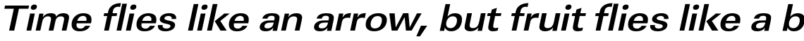 URW Linear Bold Extra Wide Oblique