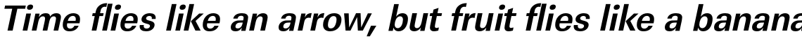 URW Linear Bold Narrow Oblique