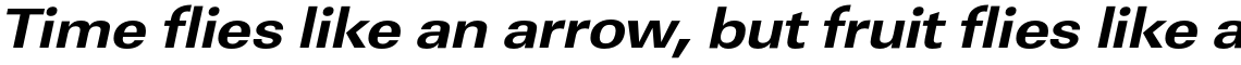 URW Linear Extra Bold Extra Wide Oblique
