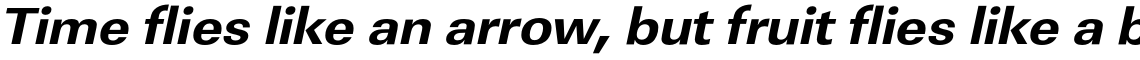 URW Linear Extra Bold Wide Oblique