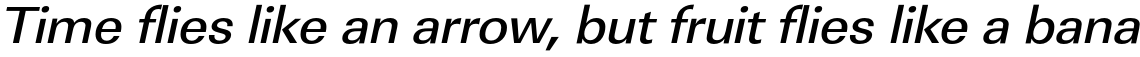 URW Linear Medium Wide Oblique