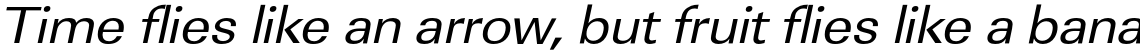 URW Linear Regular Extra Wide Oblique