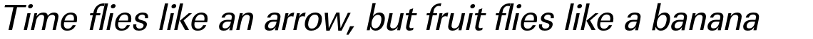 URW Linear Regular Narrow Oblique