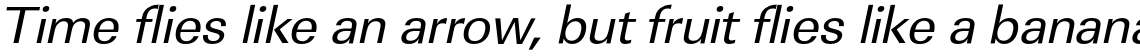 URW Linear Regular Wide Oblique