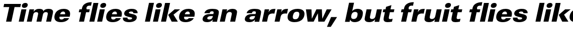 URW Linear Ultra Bold Extra Wide Oblique