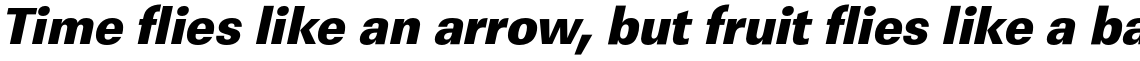 URW Linear Ultra Bold Narrow Oblique