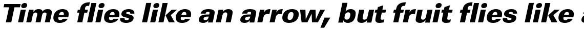 URW Linear Ultra Bold Wide Oblique