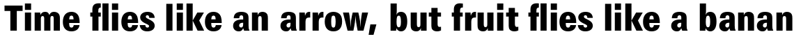 Maxima Bold Condensed