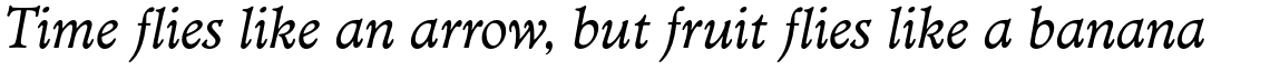 Minister Book Italic