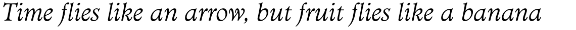 Minister Light Italic
