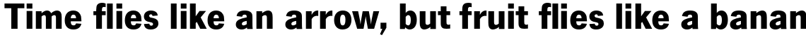 News Gothic Bold
