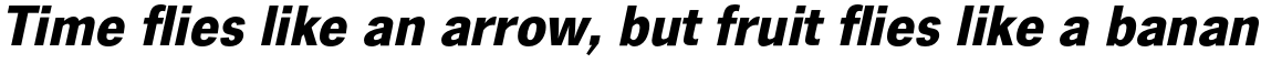 News Gothic Bold Italic