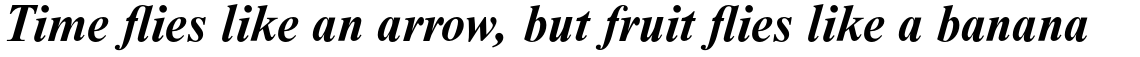 Nimbus Roman Bold Italic
