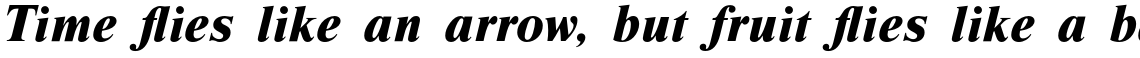 Nimbus Roman Extra Bold Italic