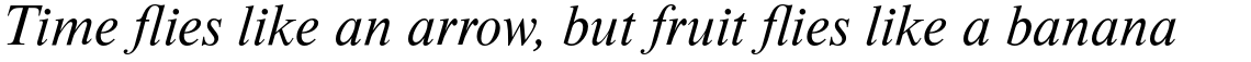 Nimbus Roman Regular Italic