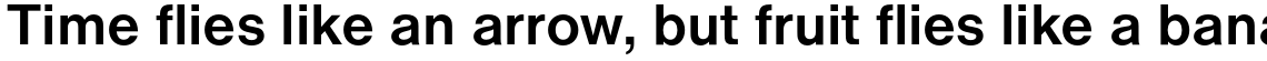 Nimbus Sans Bold