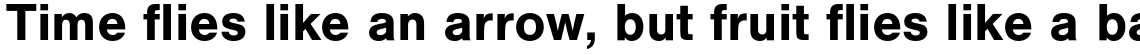Nimbus Sans Bold