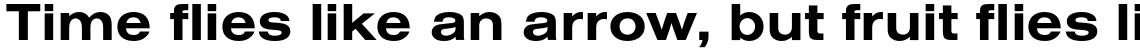Nimbus Sans Bold Extended