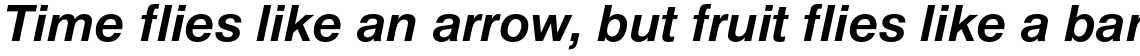 Nimbus Sans Bold Italic