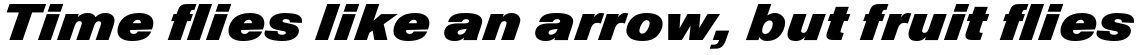 Nimbus Sans Diagonal
