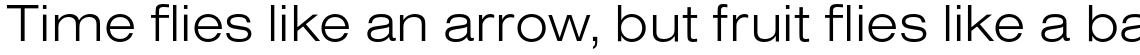 Nimbus Sans Light Extended