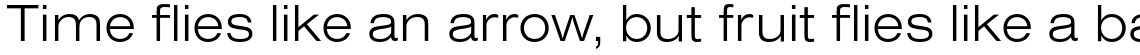 Nimbus Sans Light Extended