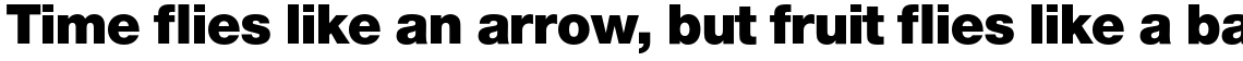Nimbus Sans Novus Black