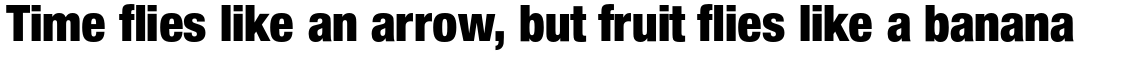 Nimbus Sans Novus Black Condensed