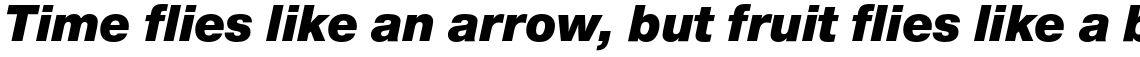 Nimbus Sans Novus Black Italic