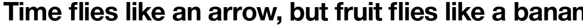 Nimbus Sans Novus Bold